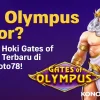 Main di Jam Ini, Zeus Gacor! Bocoran Slot Gates of Olympus Terpercaya - dewaolympus.com